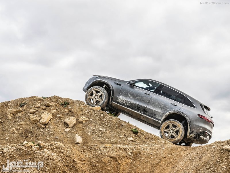 Mercedes-Benz EQC 4x4-2 Concept (2020)
