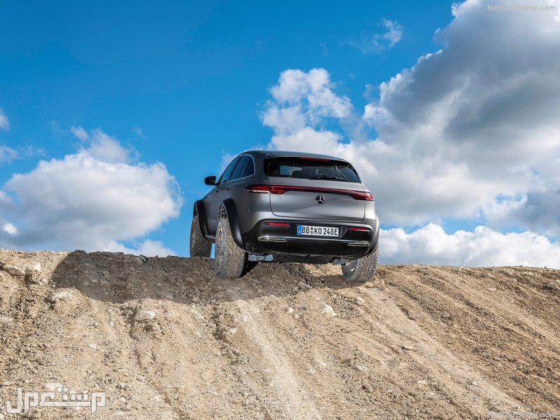 Mercedes-Benz EQC 4x4-2 Concept (2020)