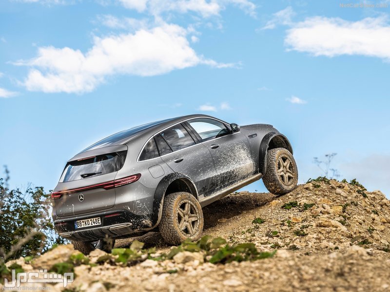 Mercedes-Benz EQC 4x4-2 Concept (2020)