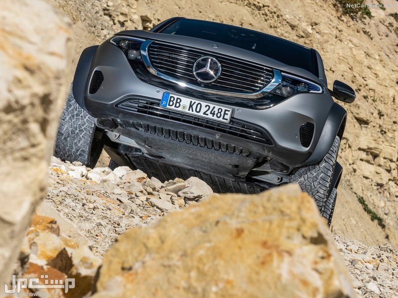 Mercedes-Benz EQC 4x4-2 Concept (2020)