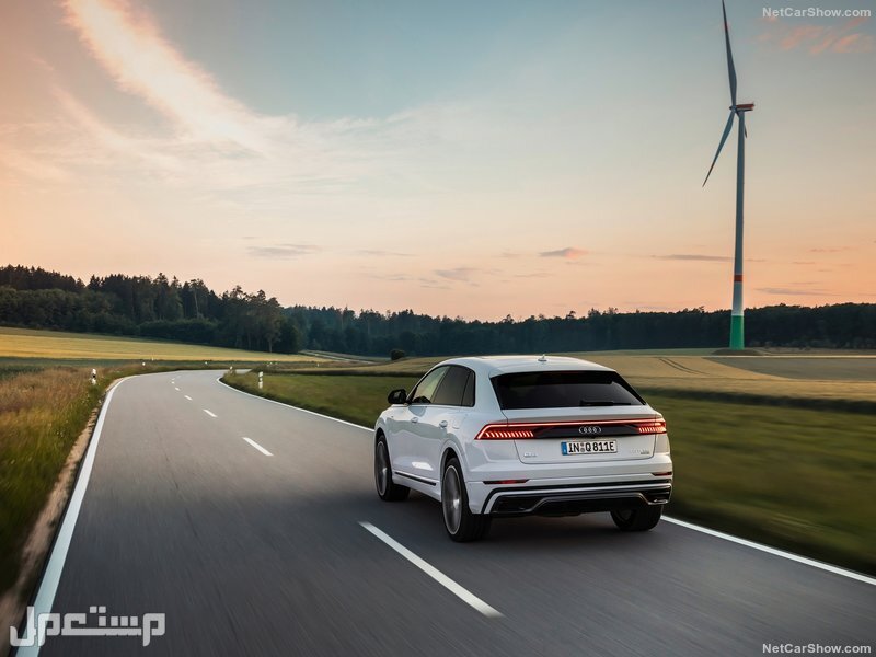 Audi Q8 TFSI e quattro (2021)