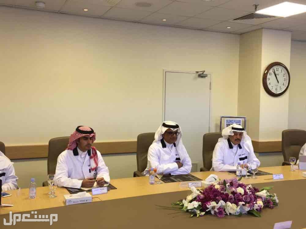 الوظائف والتوظيف