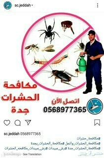شركة تنظيف بلبخار ورش حشرات
