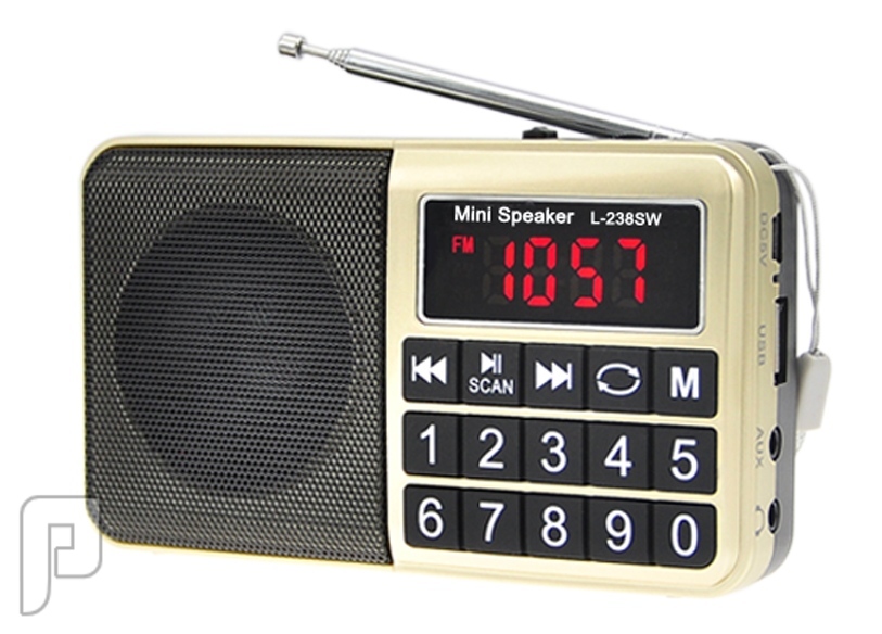 راديو متعدد الاستخدامات
