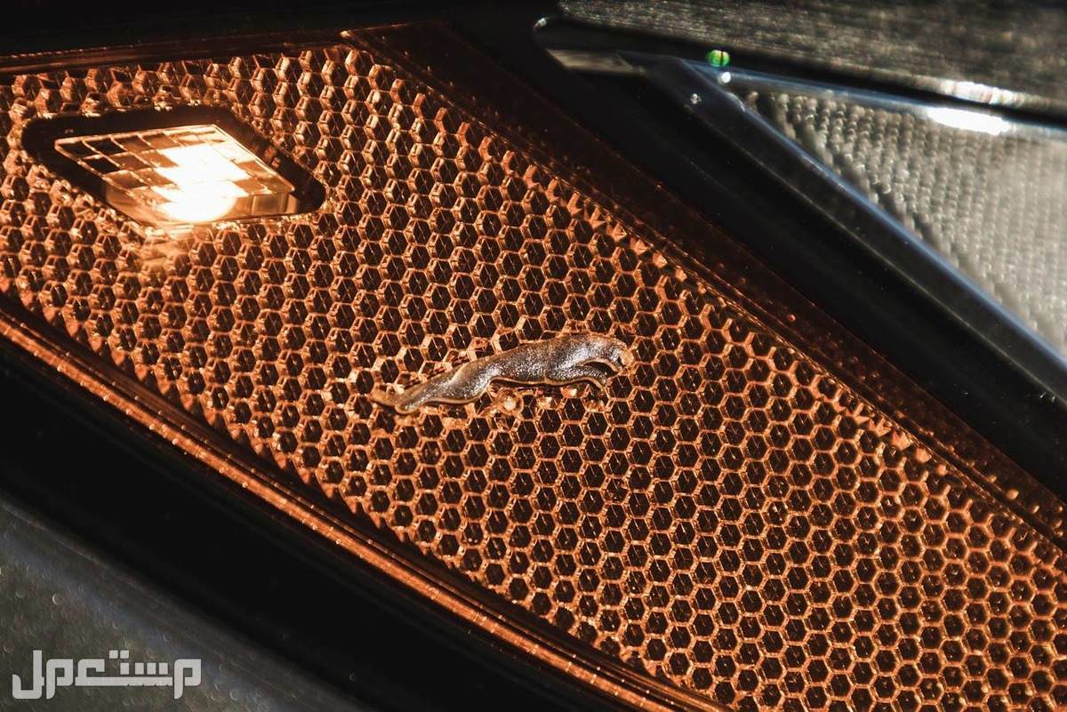 كل ما تريد معرفته عن 2022 Jaguar F-PACE 2022 Jaguar F-PACE