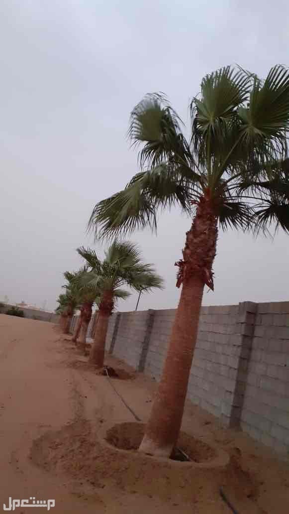 أرض للبيع في ابو عريش بسعر 1800000 ريال سعودي