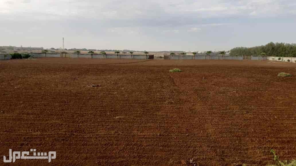 أرض للبيع في ابو عريش بسعر 1800000 ريال سعودي