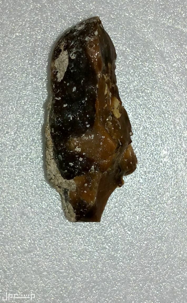 NWA 8007 نيزك-  L3.2 كوندريت  المغرب  تم العثور عليه في مايو 2013.  NWA 8007 Meteorite- L3.2 Chondrite Morocco Found May 2013