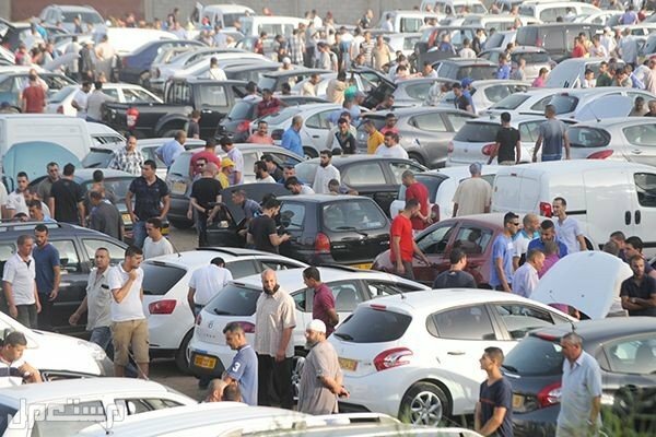 نصائح هامة قبل بيع سيارتك في عمان نصائح هامة قبل بيع سيارتك
