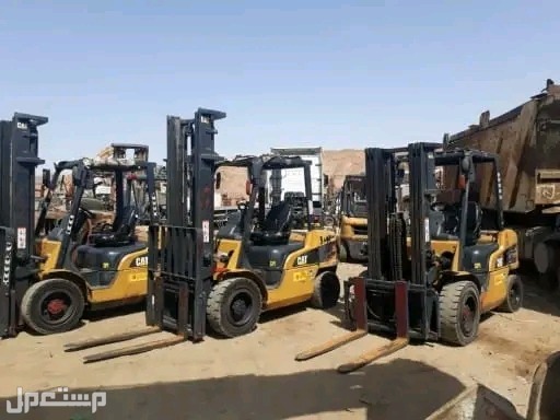 Forklift for rent in Medina  ماركة TCM في المدينة المنورة بسعر 800 ريال سعودي قابل للتفاوض