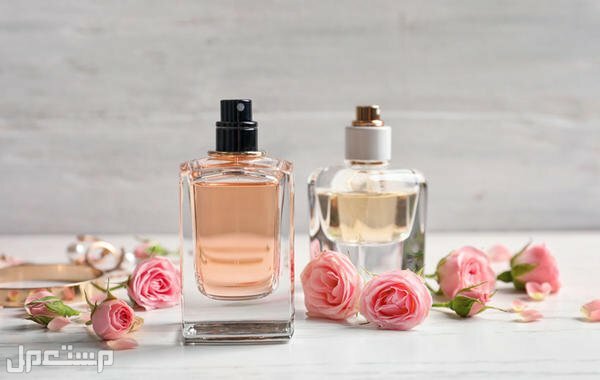 أفضل عطر نسائي 2022 تدوم رائحته لفترة طويلة أفضل عطر نسائي 2022