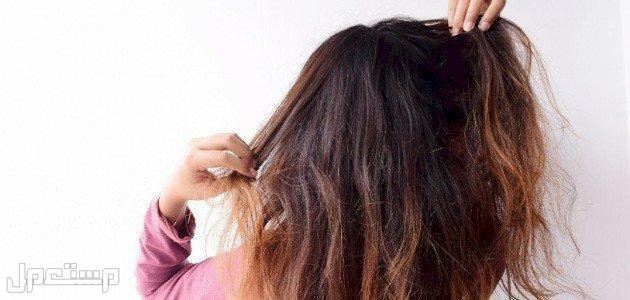 طريقة العناية بالشعر الجاف.. 10 نصائح لشعر صحي بالصيف