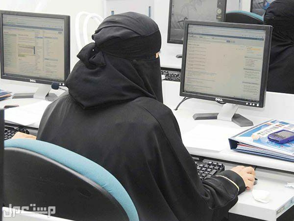 كيفية وشروط التسجيل في برنامج توطين في الإمارات العربية المتحدة برنامج توطين