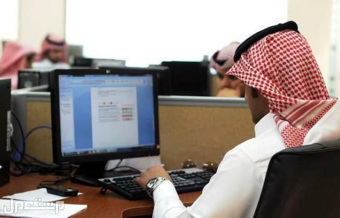 كيفية وشروط التسجيل في برنامج توطين في الإمارات العربية المتحدة