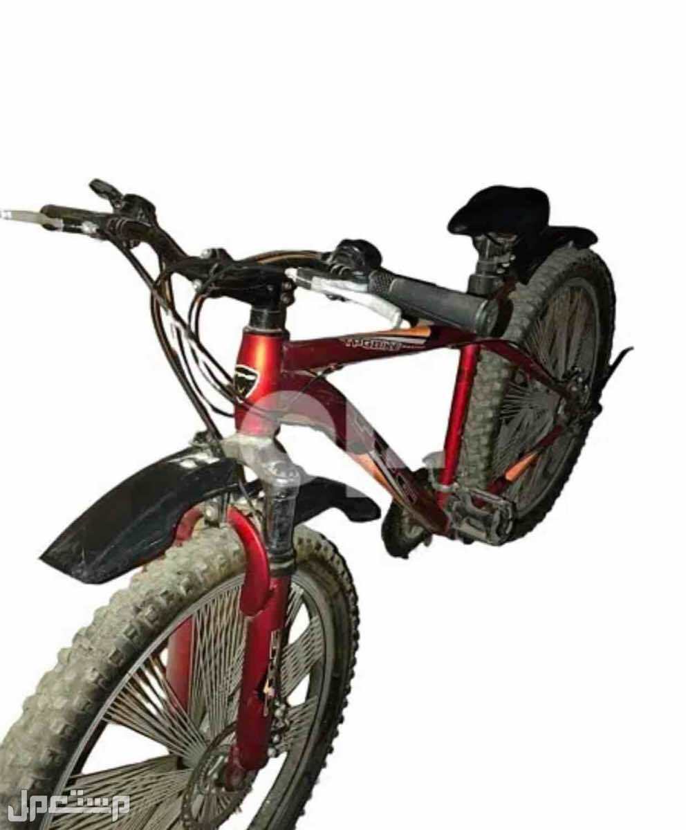 عجلة ماركة tbg bike racing في مدينه برج العرب الجديدة بسعر 2900 جنيه مصري مستعمل بحال جديدة
