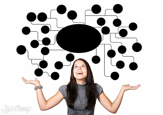 كيفية تصميم خريطة مفاهيم احترافية كيفية تصميم خريطة مفاهيم