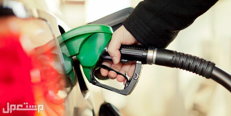 عند احتراق البنزين في محرك السياره تتحول الطاقة إلى... تعرف على الإجابة في السعودية