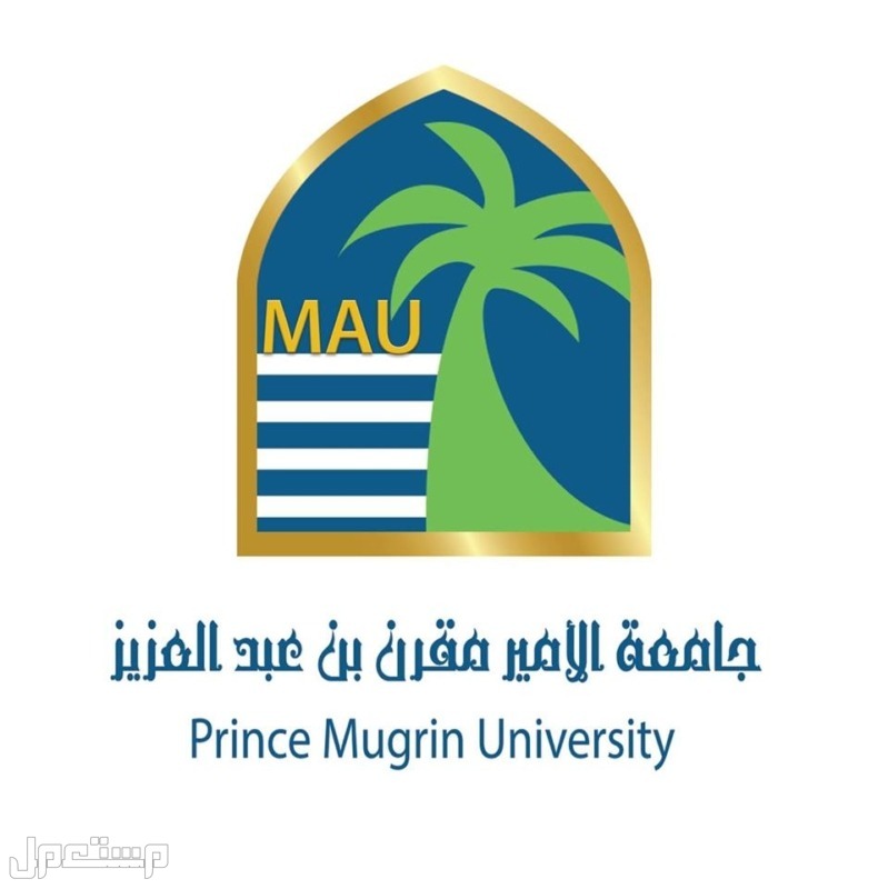 تعرف على شروط وظائف جامعة الأمير مقرن بن عبدالعزيز جامعة الأمير مقرن
