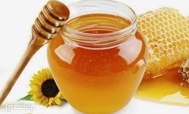تعرف على سعر عسل السدر وفوائده (دليل شامل) في سوريا سعر عسل السدر