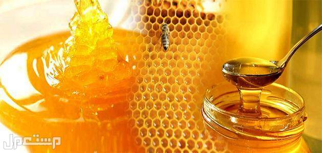 تعرف على سعر عسل السدر وفوائده (دليل شامل) سعر عسل السدر