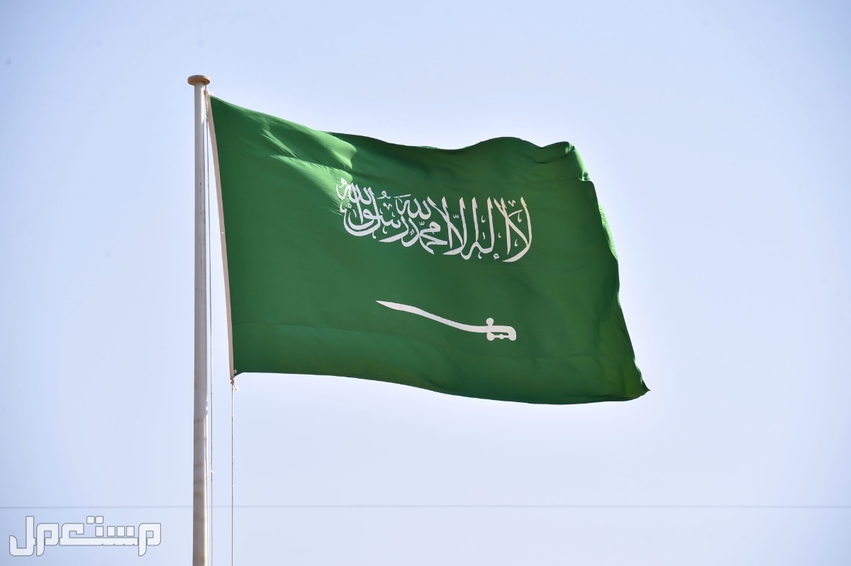 ضبط مخالفات استخدام العلم السعودي على المنتجات في المتاجر والمنصات الإلكترونية العلم السعودي