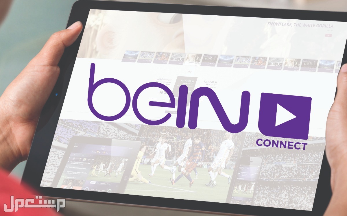 أفضل تطبيق لبث القنوات المشفرة على أندرويد في البحرين تطبيق beIN CONNECT