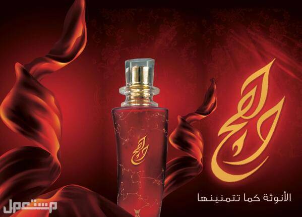 دليلك إلى أفضل عطور ماجد للعود 2022 وهج