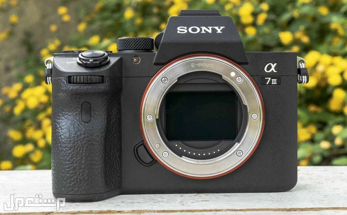أحدث أنواع كاميرا سوني 2022 في اليَمَن كاميرا سوني
