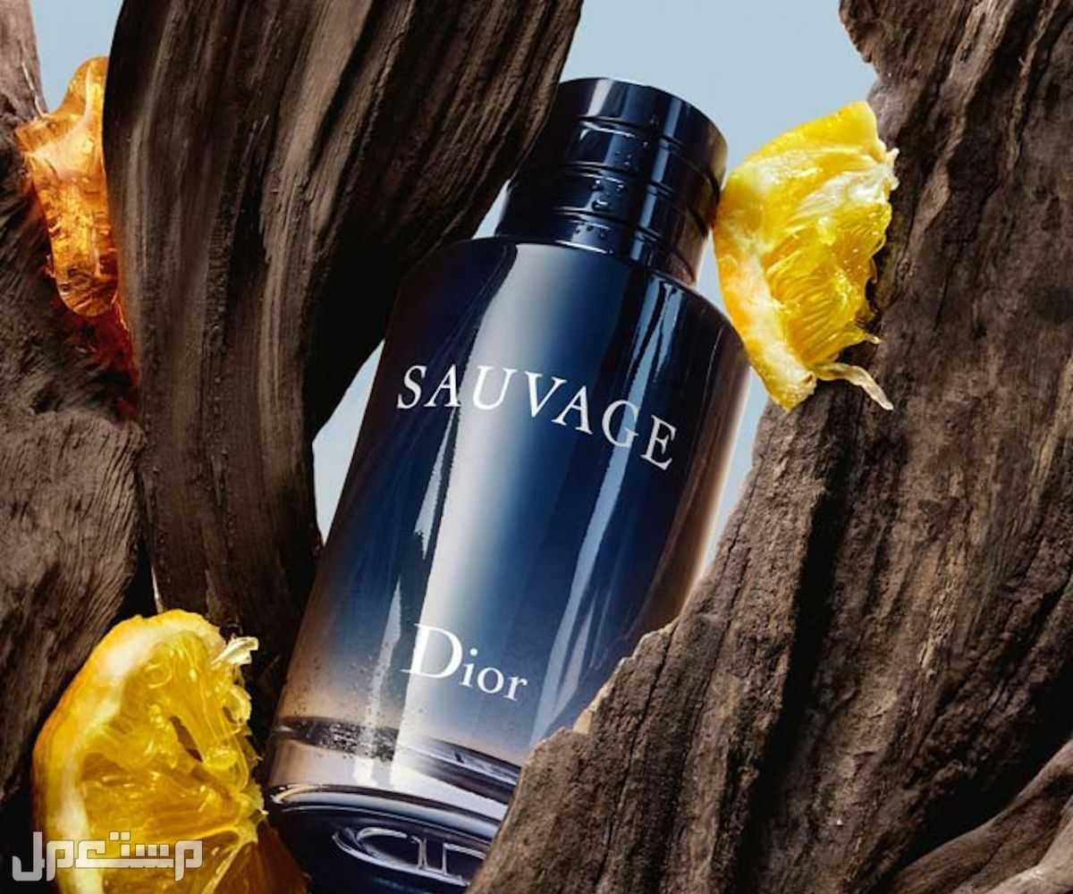 أفضل عطر سوفاج Sauvage sauvage eau de toilette