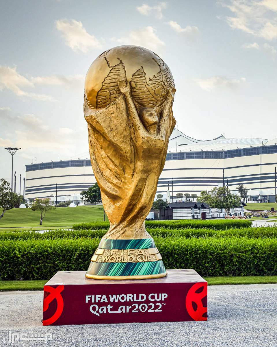تعرف على خطوات الاشتراك في باقات مشاهدة كأس العالم 2022 في قطر