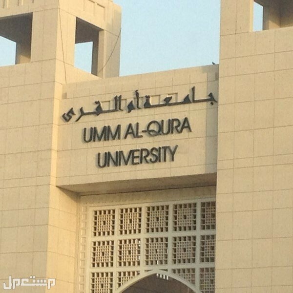 طريقة التقديم في السنة التأهيلية بجامعة أم القرى 1444 في جيبوتي لسنة التأهيلية بجامعة أم القرى