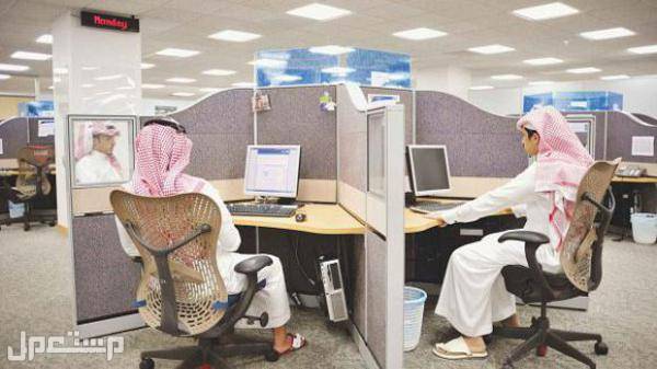 أكثر الوظائف المطلوبة لعام 2030 وظائف السعودية 2030