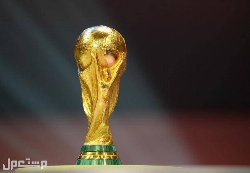 كأس العالم 2022| بينهم السعودية.. تعرف على موعد مباريات المجموعة الثالثة في المغرب كأس العالم 2022 المجموعة الثالثة