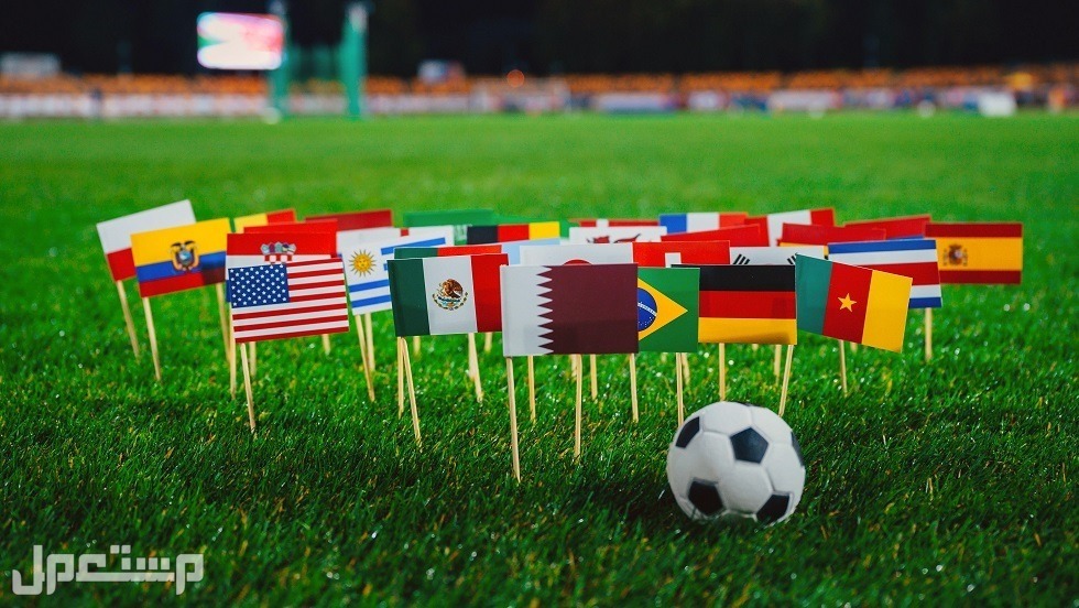 مباريات كاس العالم مجاناً..شاهد مباراة هولندا والسنغال