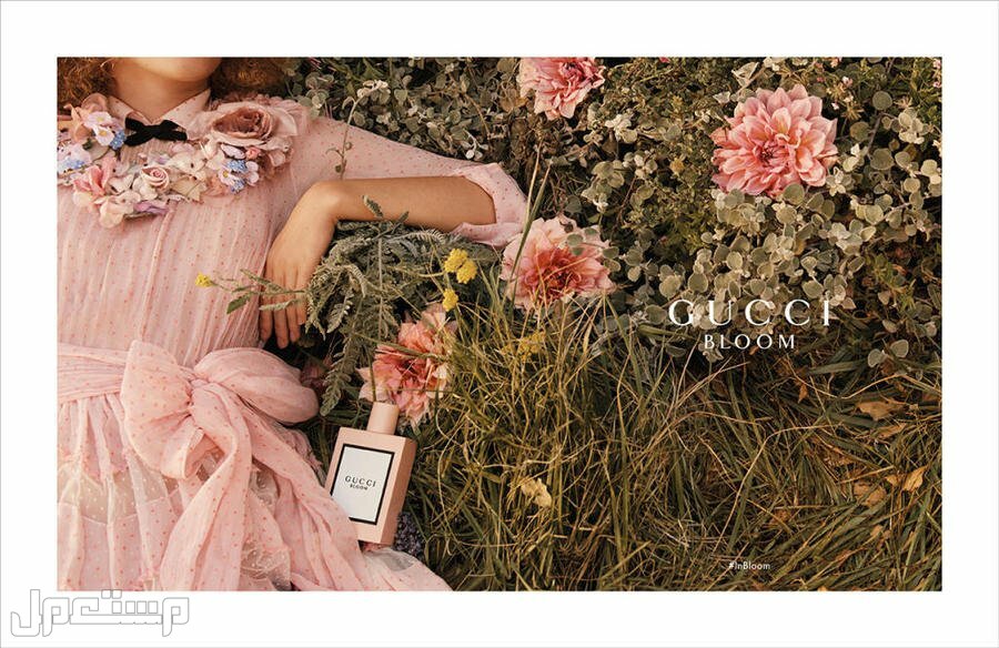عطر قوتشي بلوم تعرف على المواصفات كاملة تفاصيل عطر قوتشي بلوم