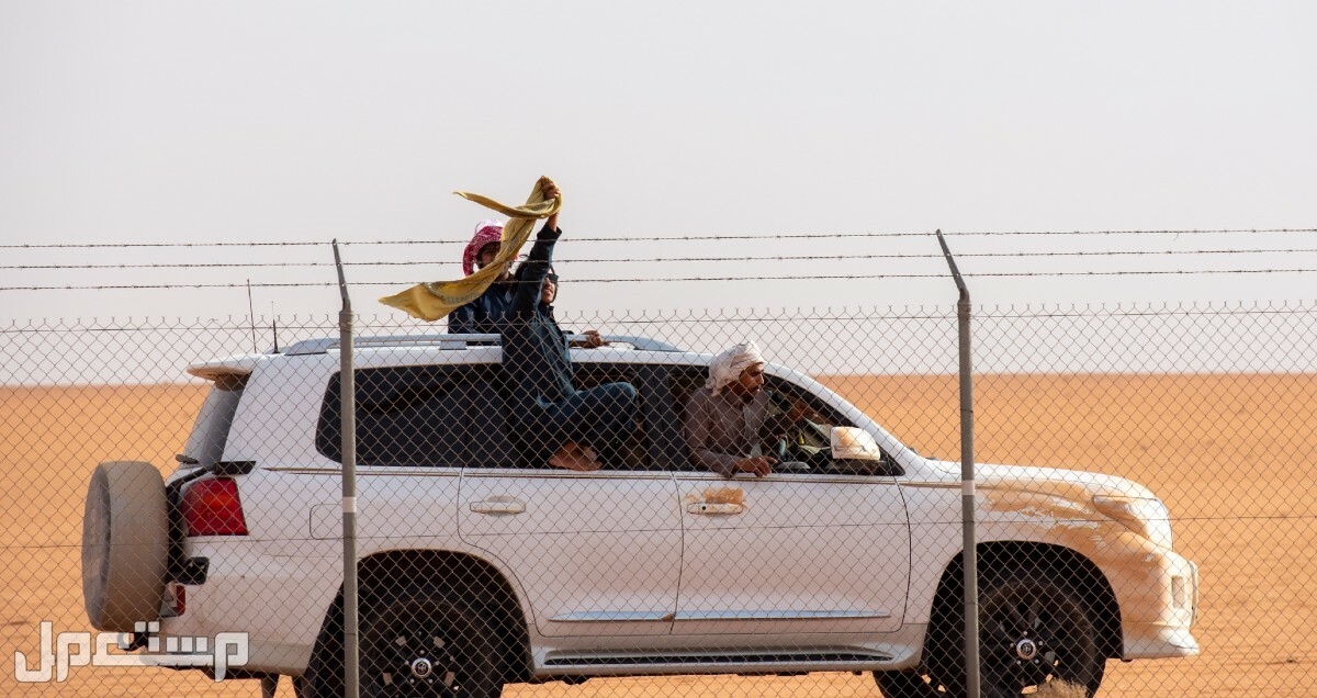 صور الصياهد 2022 سباق الابل في الأردن جمهور مهرجان الابل