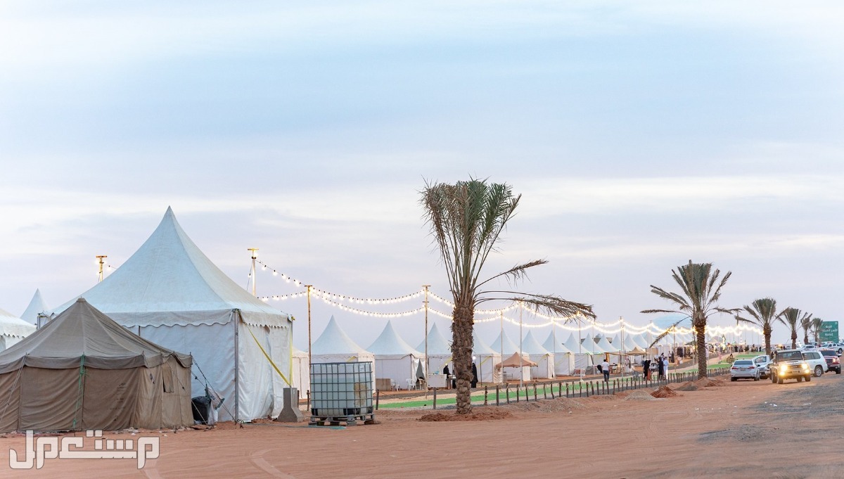 صور الصياهد 2022 سباق الابل في موريتانيا
