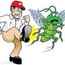 شركة رش مبيدات بالرس مكافحة حشرات بالرس رش مبيد بالرس في الرس بسعر 300 ريال سعودي بداية السوم
