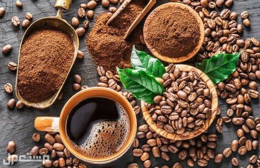 أفضل أنواع البُن بالتفصيل تعرف عليه في جيبوتي انواع القهوة