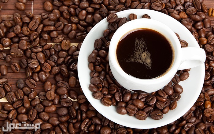 أفضل أنواع البُن بالتفصيل تعرف عليه في الجزائر قهوة تركي