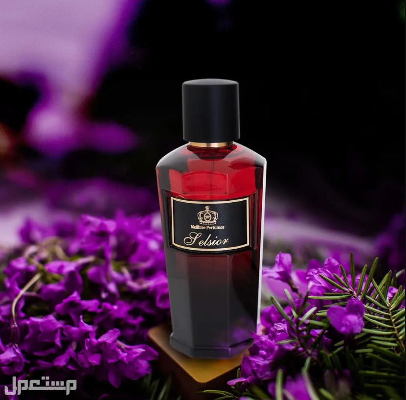 استكشف عطر سانتوس ميلور: تجربة لا تُنسى لعشاق العطور