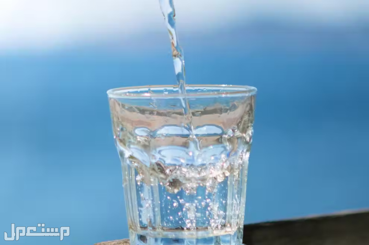 سعر أفضل ماء قليل الصوديوم في الجزائر مياه الصوديوم