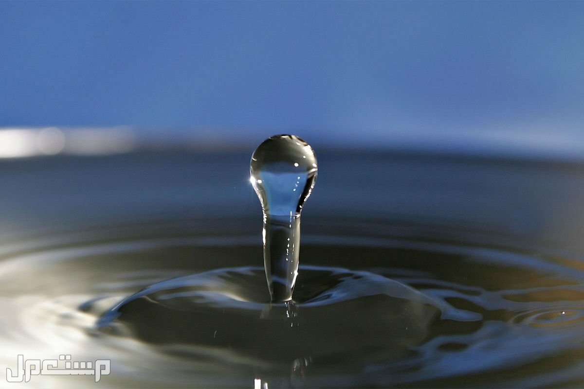 سعر أفضل ماء قليل الصوديوم في الجزائر قطرة مياه