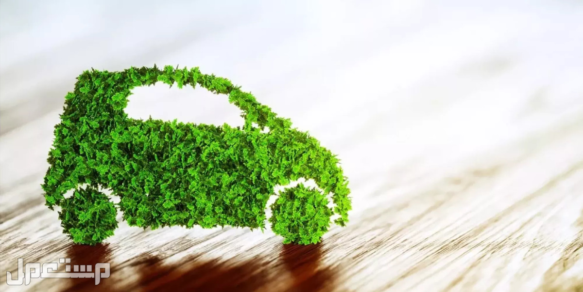 تعرف على أساليب قيادة السيارات التي تُسهم في الحفاظ على البيئة في الإمارات العربية المتحدة