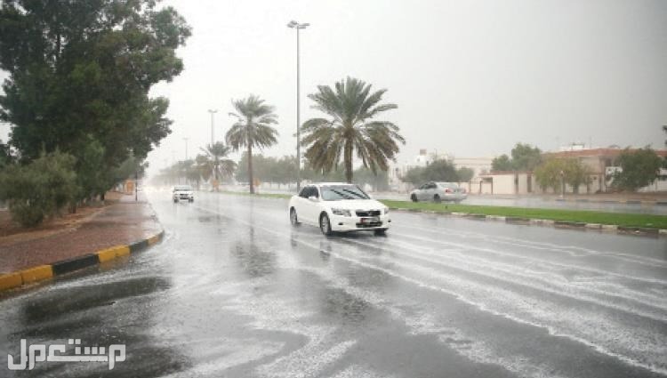 نصائح أمن الطريق يلزم إتباعها قبل السفر بالسيارة في الإمارات العربية المتحدة نصائح عند هطور الأمطار