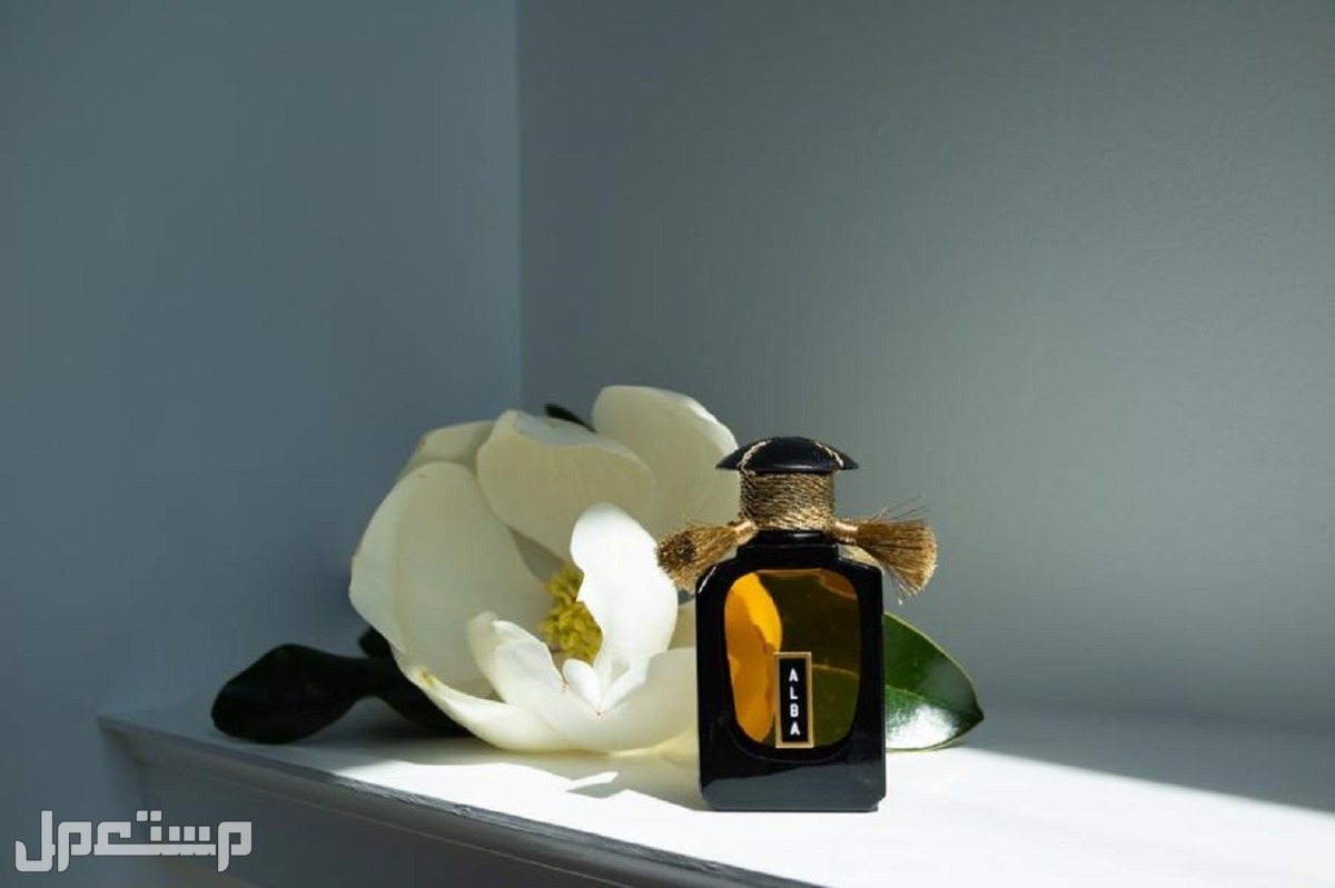 أفضل عطر نسائي فخم 2023 عطر كالتوس أرتيم ألبا