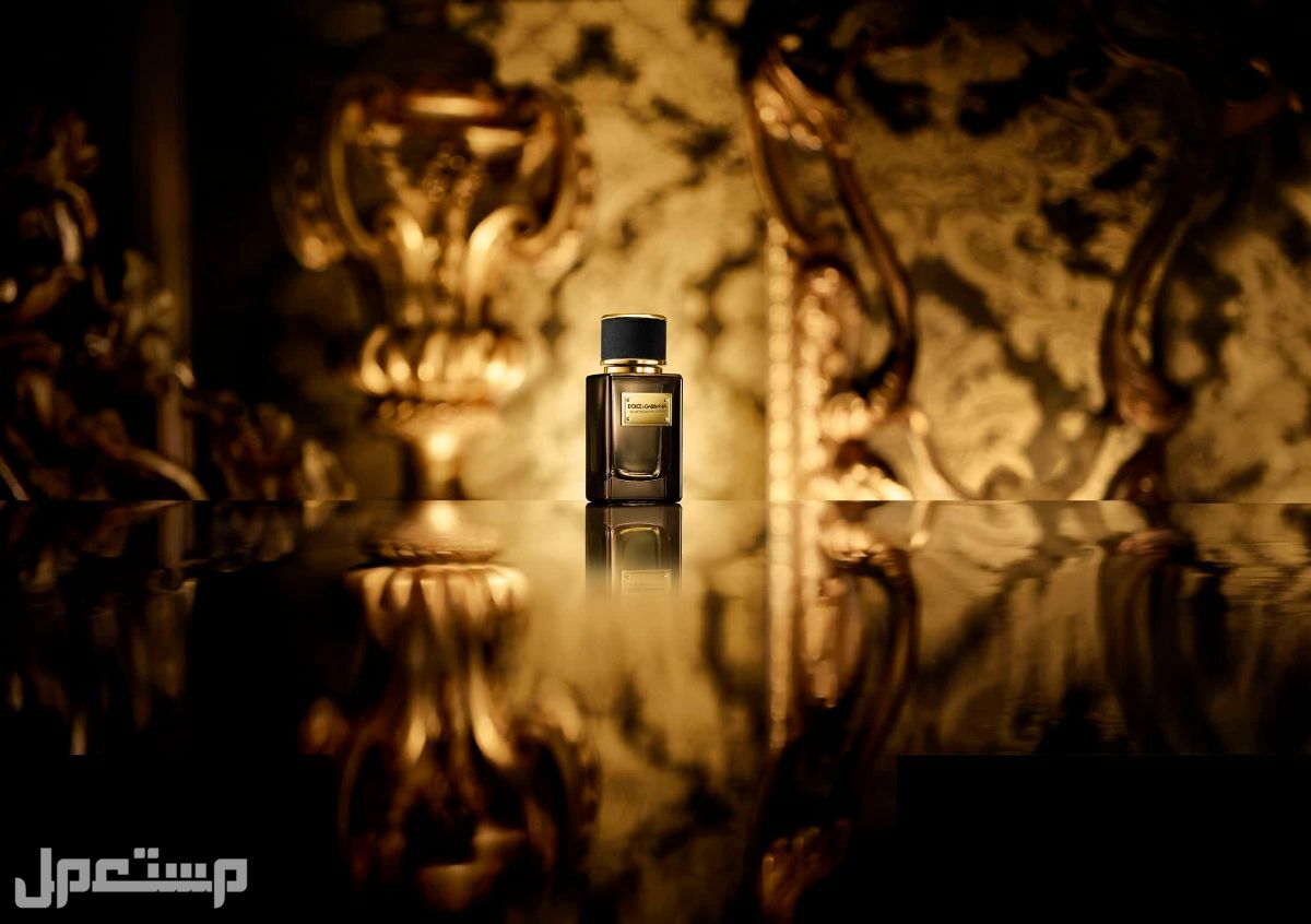 أفضل عطر نسائي فخم 2023 دولتشي آند غابانا فيلفيت بلاك باتشولي