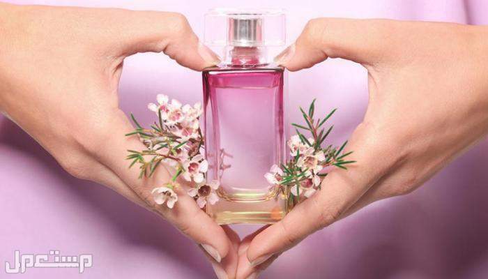 افضل رائحة عطر للنساء 2022 أنواع العطور النسائية