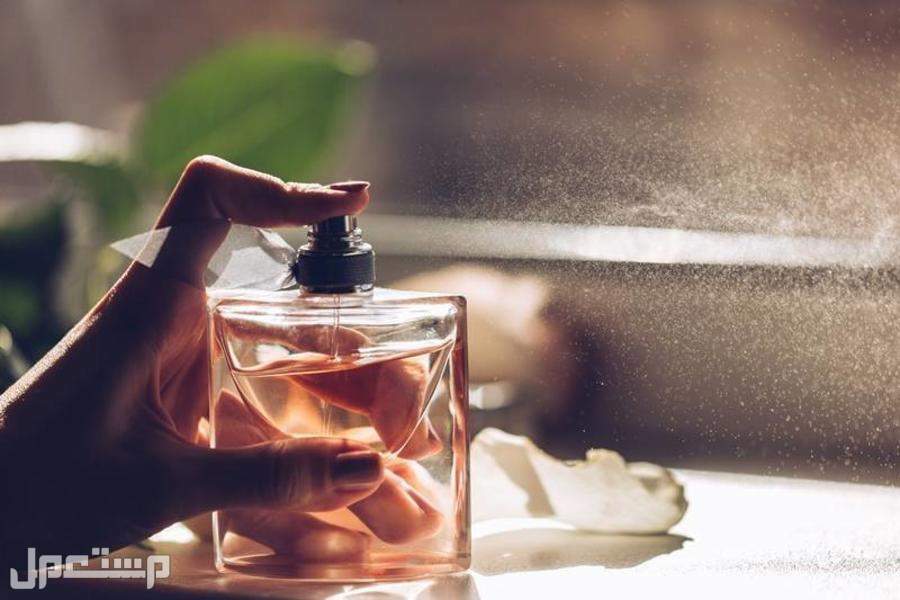 افضل رائحة عطر للنساء 2022 روائح عطور