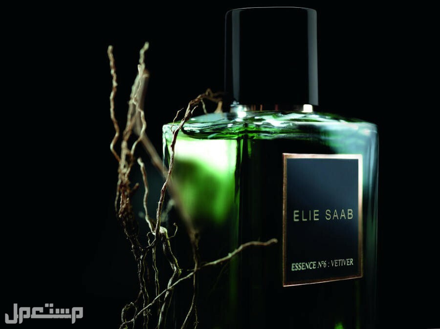 أفضل عطر elie saab للنساء والرجال 2023 Essence N°6: Vetiver